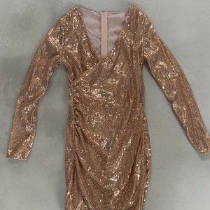 Rose sequin holiday dress